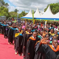Graduates in gowns at a ceremony